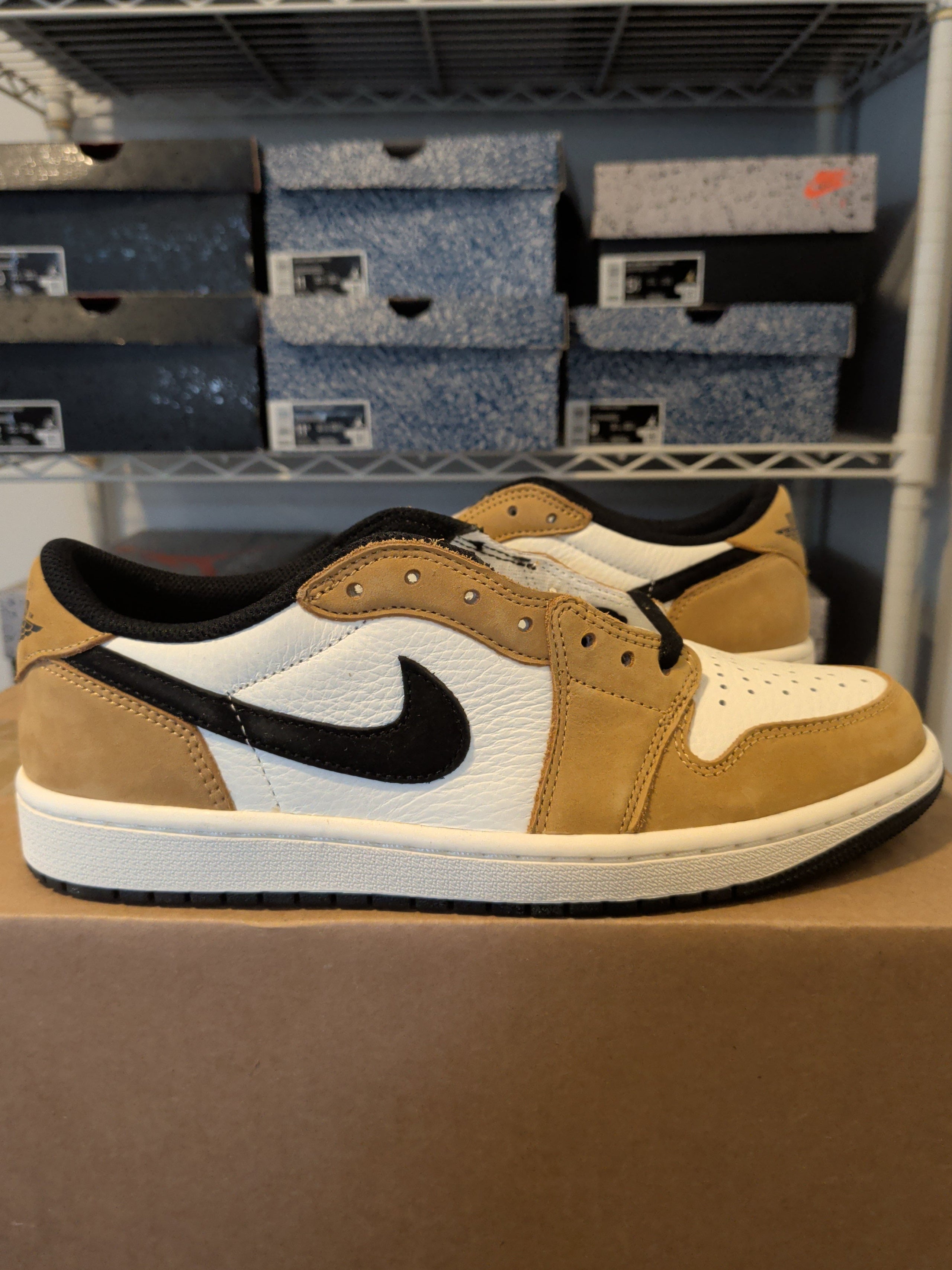 Jordan 1 Low - Rookie Of The Year - Brand New
